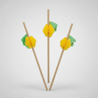 Paie Hârtie cu Ornament Fructe – 6 mm – 24 buc/set