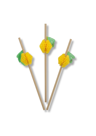 Paie din hartie cu ornament Fructe – 6 mm – 24 buc/set