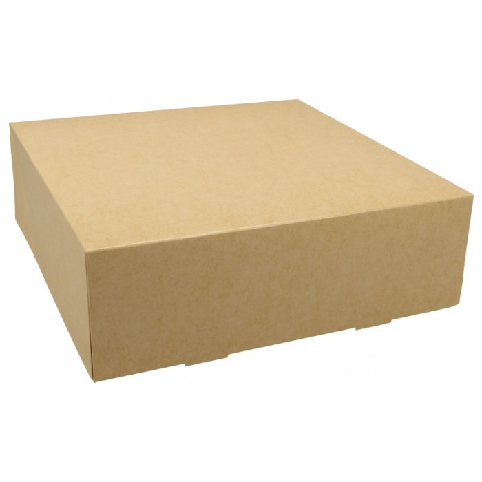 Cutii din carton, kraft natur albit, capac atasat, M0250, B: 250 x 250, H80 mm - CA /25 6/BX